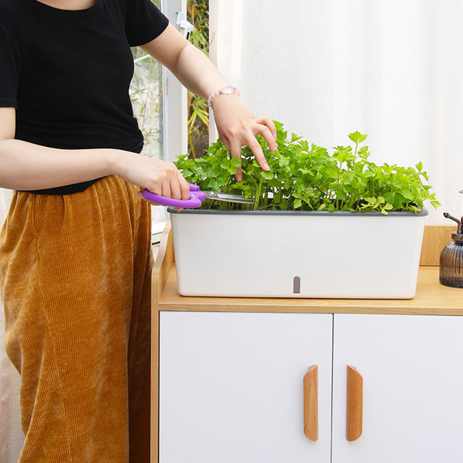 Self-Watering Planter Pots wit - Self-Watering Planter ulasan dan harga