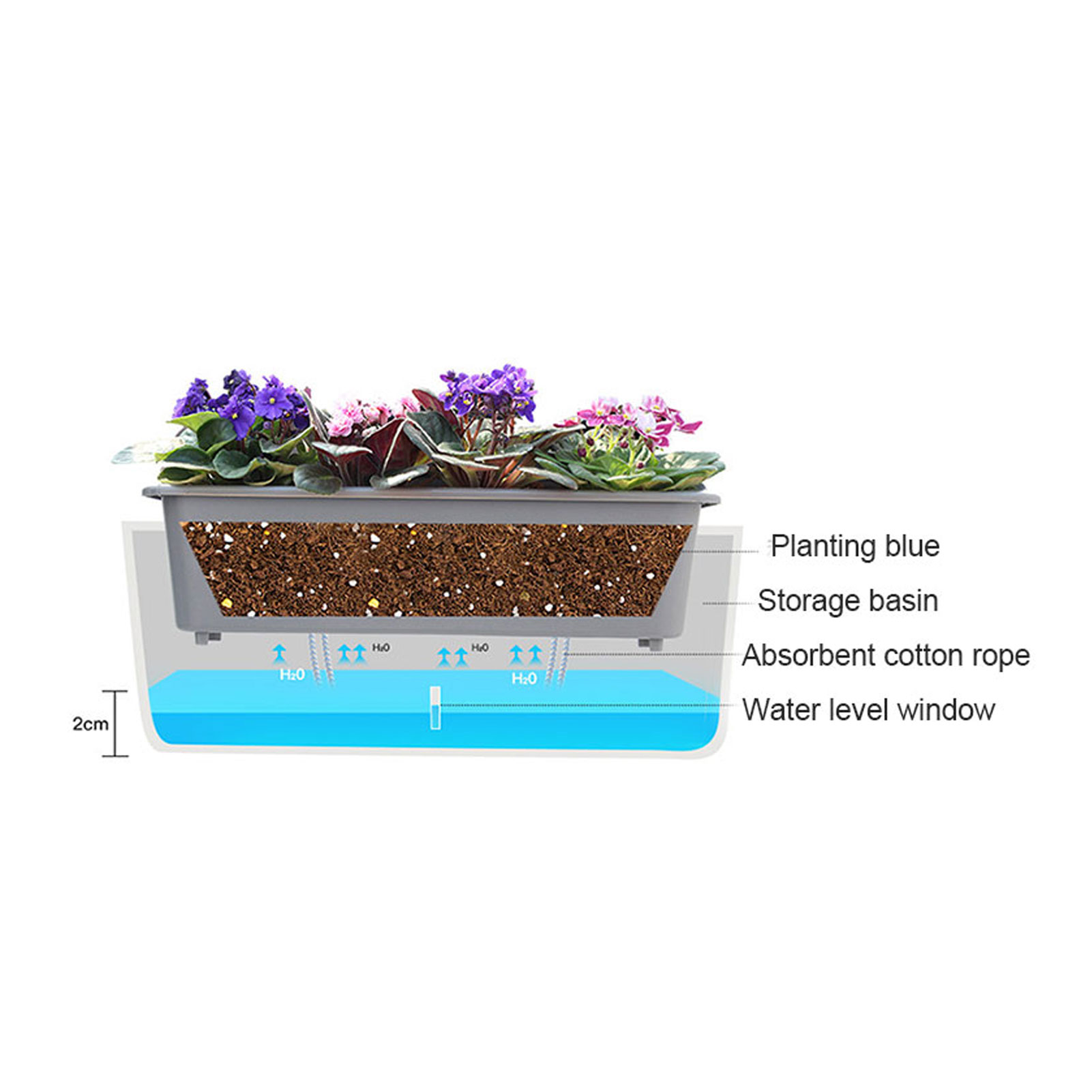 Self-Watering Planter Pots wit - Self-Watering Planter ulasan dan harga